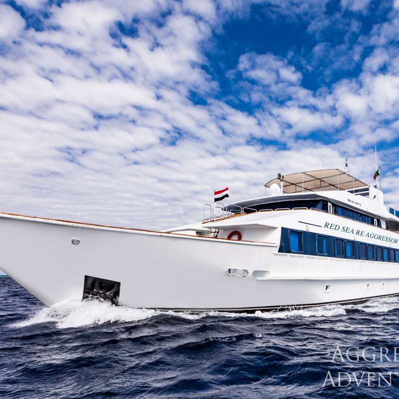 https://www.diveandcruise.it/sites/www.diveandcruise.com/files/styles/scale_and_crop_800x800/public/boat_pictures/liveaboard-egypt-red-sea-aggressor-100.jpg?itok=7h3j8EKH